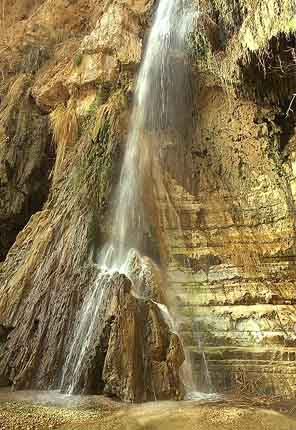 The springs of Ein Gedi: Israel tours